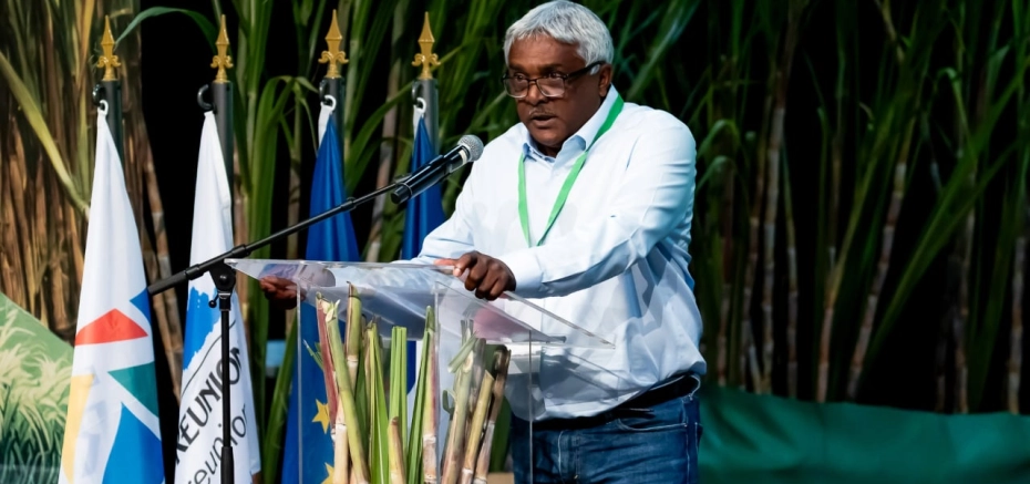 Canne à La Réunion : la CGPER dénonce un déficit de 2,3 M€ au CTICS