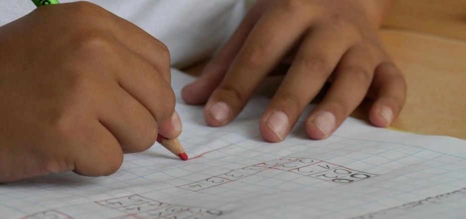 À La Réunion, le diplôme divise par trois le chômage des jeunes