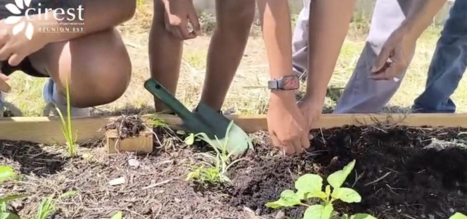 Rézo Jardins Collectifs Péï fédère l'agriculture urbaine à La Réunion