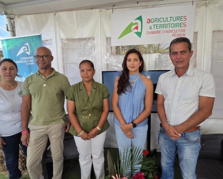 Élevages de volailles à La Réunion : la Chambre d'agriculture refuse la baisse de densité