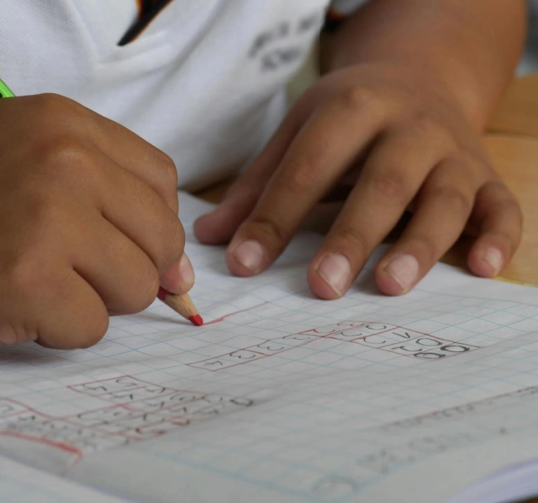 À La Réunion, le diplôme divise par trois le chômage des jeunes