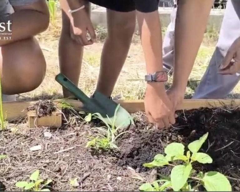 Rézo Jardins Collectifs Péï fédère l'agriculture urbaine à La Réunion